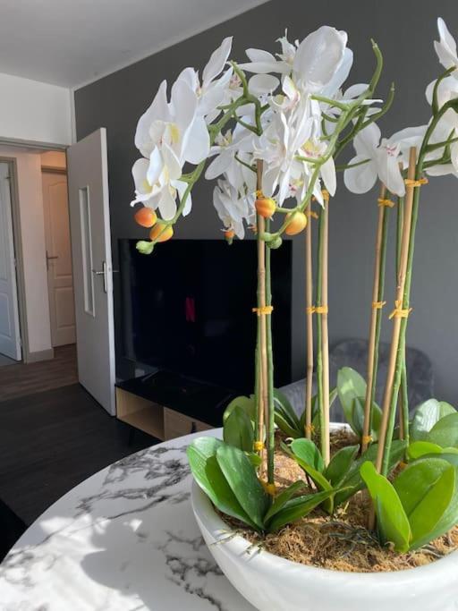 Appartement Familial Wifi Netflix Amazon Prime Saint-Cyr-lʼÉcole Exteriör bild